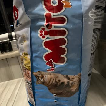 Temiz Mama Mama Paketi Paramparça Yırtılmış Her Yerinden