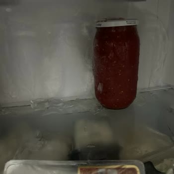 Vestel Buzdolabı Arızaları Ve Giderilememesi