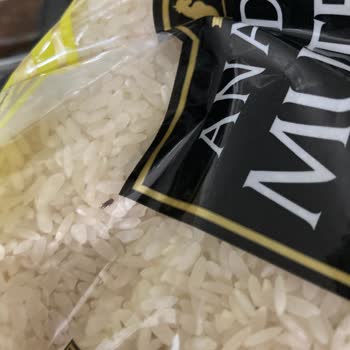 Şok Marketler Pirinçten Canlı Böcek Çıktı
