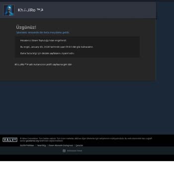Steam Topluluk Kısıtlaması 2038