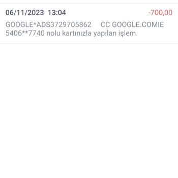 Google Bilgim Dışında Kredi Kartım Kullanılarak İnternet Alışverişi Yapılması
