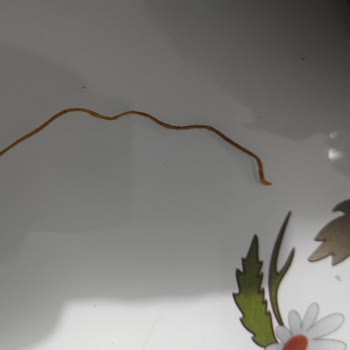 A101 Cipsin İçinden Yenilmeyen İp Benzeri Bir Madde Çıktı