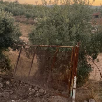 Su İşleri Hizmetinden Kaynaklanan Zarar