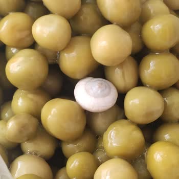 Tukaş Bezelyeden Salyangoz Çıktı