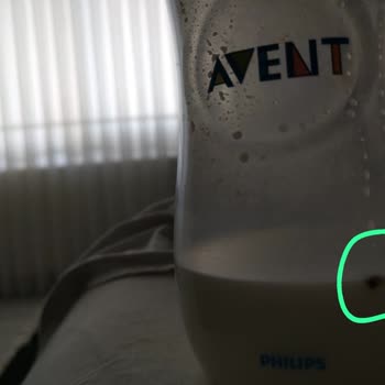 Evolvia İçinde Gördüklerimiz Ve Kötü Koku