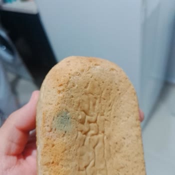 UNO Anadolu Tam Buğdaylı Sandviç Ekmeklerinin Küflü Olması