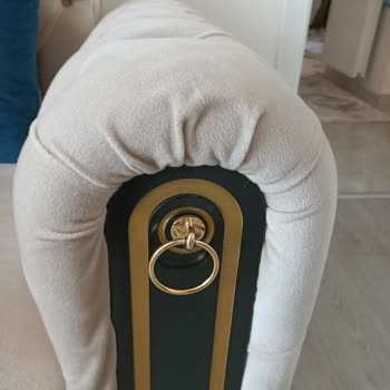 Ev Yaşam Ve Üründe Defo