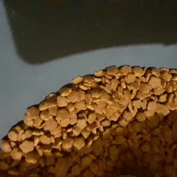 Mamaplus Kötü Mama İshal Yapan Mama