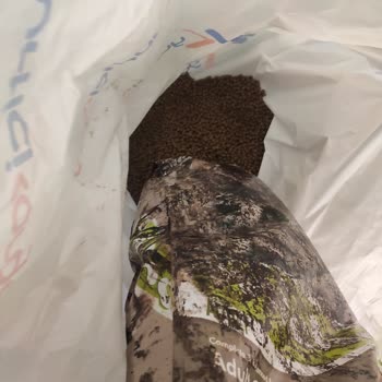 Yurtiçi Kargo İle Gelen Kedi Mamasının Hali!
