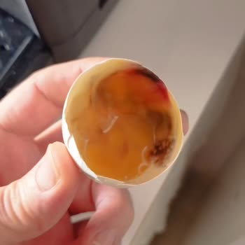 Migros Bozulmuş Yumurta 🥚
