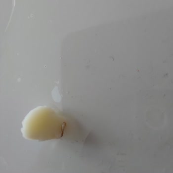 BİM'in Kasar Peynirinden Kurt Çıktı