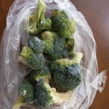 Bozuk Buzdolabı Ve İlgisiz Arçelik