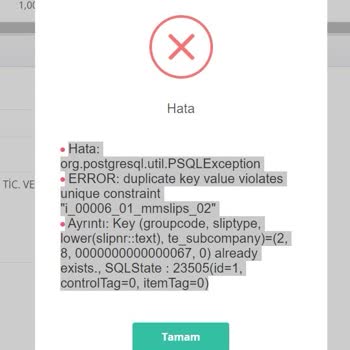 Logo İşbaşı E-Fatura Ve Ön Muhasebe Sık Sık Çıkan Sorunlar...