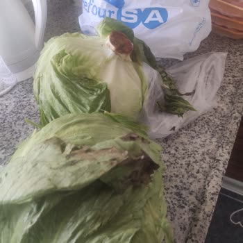 Carrefour SA'da Taze Olmayan Sebze
