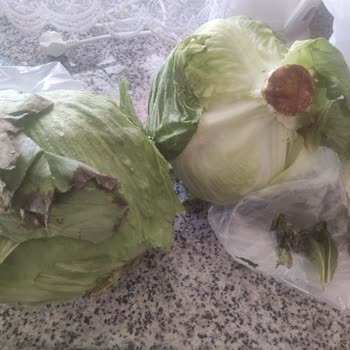 Carrefour SA'da Taze Olmayan Sebze