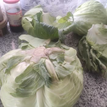 Carrefour SA'da Taze Olmayan Sebze