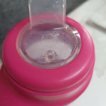 Philips Avent Sulukta Küf Oluyor
