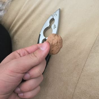 Jumbo Ürün Cevizi Kırarken Kırıldı