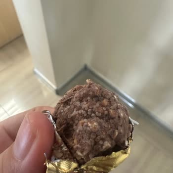 Ferrero Rocher Bozuk Çikolata