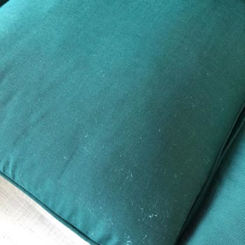 IKEA 1 Haftada Her Yeri Tüylenen Ektorp 3'lü Koltuk