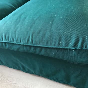 IKEA 1 Haftada Her Yeri Tüylenen Ektorp 3'lü Koltuk