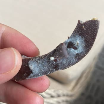 Patiswiss Küflenmiş Orange Stick