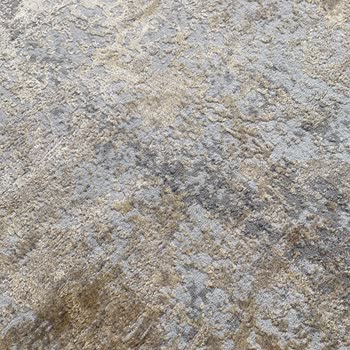 Aslı Halı Yıkama Fabrikası Halılarımı Maf Etti