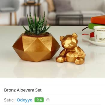 Çiçek Sepeti Pişmanlığı!