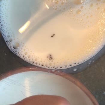 Sek Süt Firmasına Yakışmayan Durum