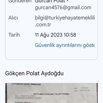 Türkiye Hayat Emeklilik Turkiye Hayat Emeklilik Çıkış Talebi Ve Para İadesi