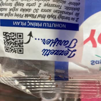 Yayla Bakliyat Yayla Marka Pirincin İçinden Çıkan Kurt