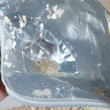 Eti Gıda Eti Lifalif Yulaf Ezmesi Paketinden Canlı Böcek Çıktı!