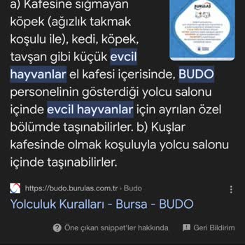 BURULAŞ Evcil Hayvan Sorunları