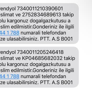 PTT Kargomu Kaybetti!
