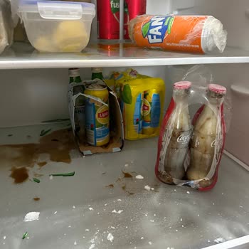 Profilo Refrigerator's Defect And Nobody Helps