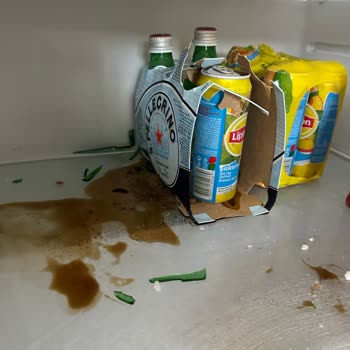Profilo Refrigerator's Defect And Nobody Helps