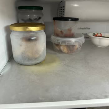 Profilo Refrigerator's Defect And Nobody Helps