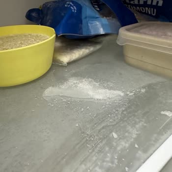 Profilo Refrigerator's Defect And Nobody Helps