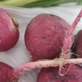 A101 Sararmış Yeşil Soğan Ve Yumuşamış Turp