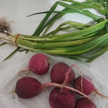 A101 Sararmış Yeşil Soğan Ve Yumuşamış Turp