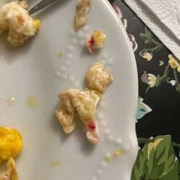 Yumurtacım Marka Yumurta Sorunu