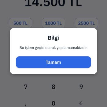 MoneyPay İbana Transfer Yapılmıyor