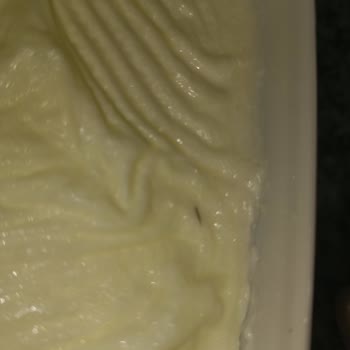 Birşah Yoğurttan Kıl Çıktı