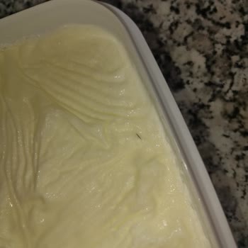 Birşah Yoğurttan Kıl Çıktı