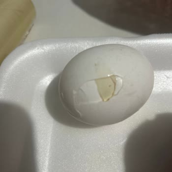 İstanbul Kartal Mopaş Hürriyet Şubesi Online Alışveriş