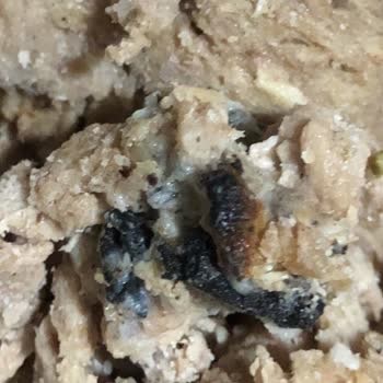 A101 Deki Dana Dönerin İçinden Yabancı Madde Çıktı