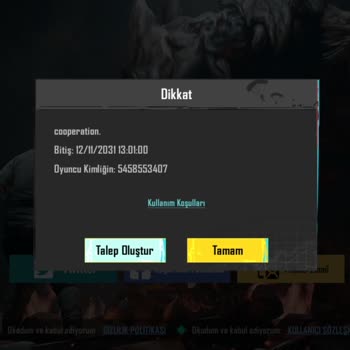 PUBG Mobile Ban Sorunu