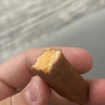 Cino Çikolata Cino Marka Çikolata İçinde Kıl Çıkması