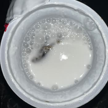 Eker Ayran İçerisinden Kurbağa Çıktı