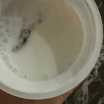 Eker Ayran İçerisinden Kurbağa Çıktı